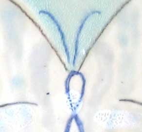 INFINITY'S  BUTTERFLY- Ceramic Wall Hanging- Large Original Drawing, Glaze Pencil, Glaze on Handmade White Stoneware Tile